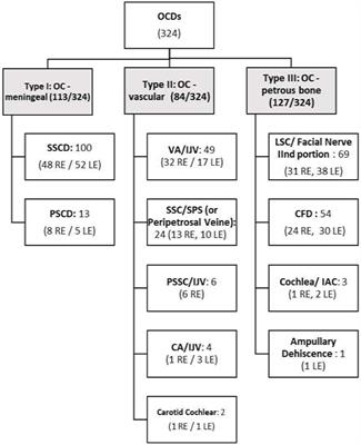 Why should multiple dehiscences of the otic capsule be considered before surgically treating patients with superior semicircular canal dehiscence? A radiological monocentric review and a case series